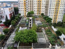 Blk 560A Spring Haven @ Jurong (Jurong West), HDB 2 Rooms #517380161